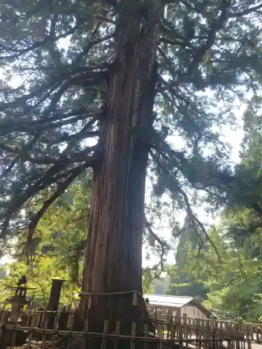 戸隠神社中社(長野県)