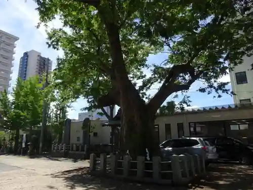 阿邪訶根神社の自然