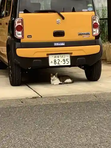 御嶽神社茅萱宮の動物