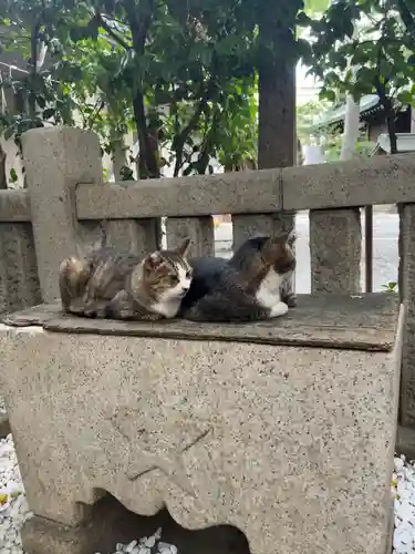 小野照崎神社(東京都)