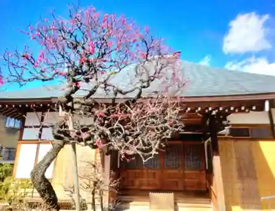 鳳林寺(東京都)