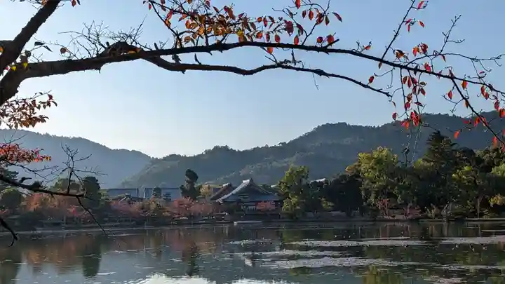 大覚寺(京都府)
