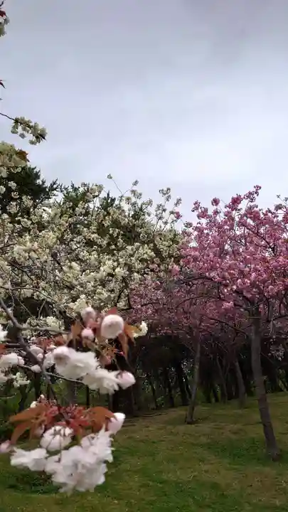 相馬神社(北海道)