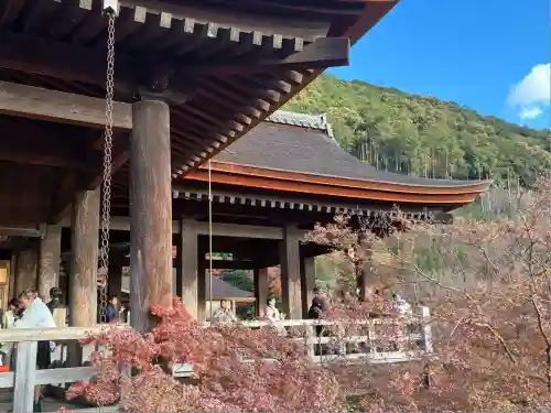 清水寺(京都府)