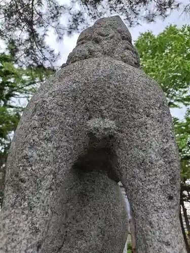 真龍神社の狛犬