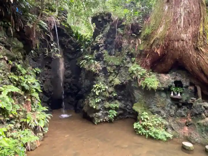 目の霊山 油山寺の自然