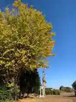 明治神宮(千葉県)