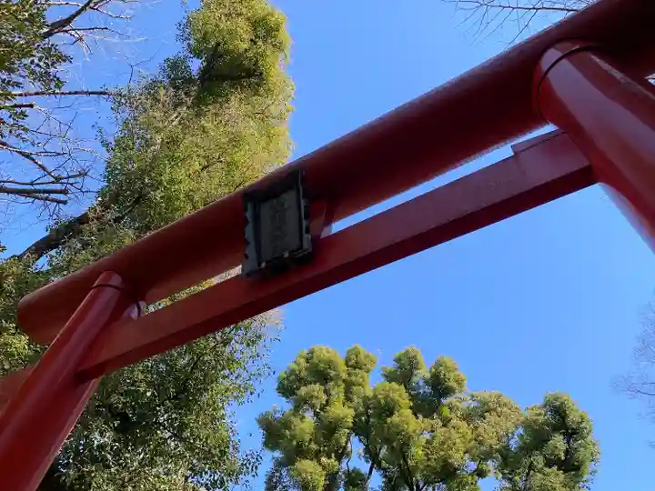 山王稲荷神社(日枝神社末社)の鳥居