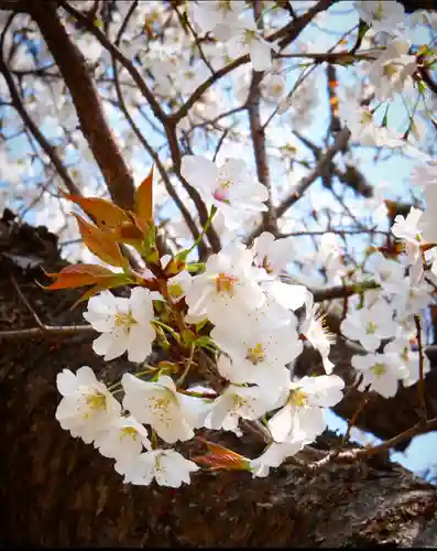 十日恵比須神社(福岡県)