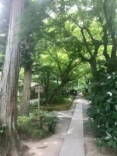 明月院(神奈川県)