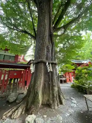 秩父神社(埼玉県)