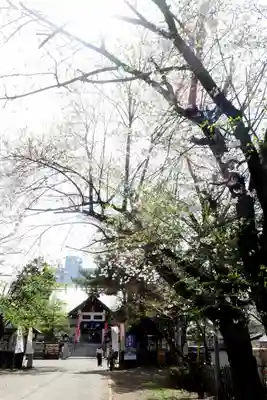 豊平神社の本殿・本堂