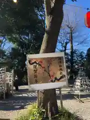 所澤神明社(埼玉県)