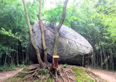 神在神社の自然