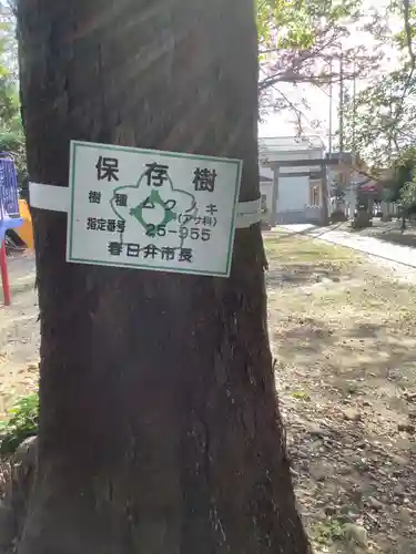 神明社（神明大明神）の自然