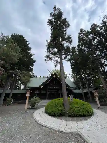 琴似神社(北海道)