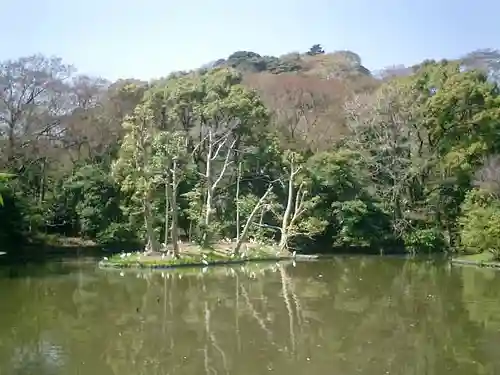 鶴岡八幡宮の景色