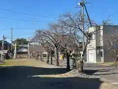 若宮神社(滋賀県)