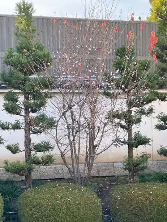 妙蓮寺(京都府)