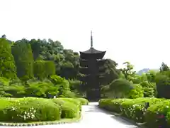 瑠璃光寺(山口県)