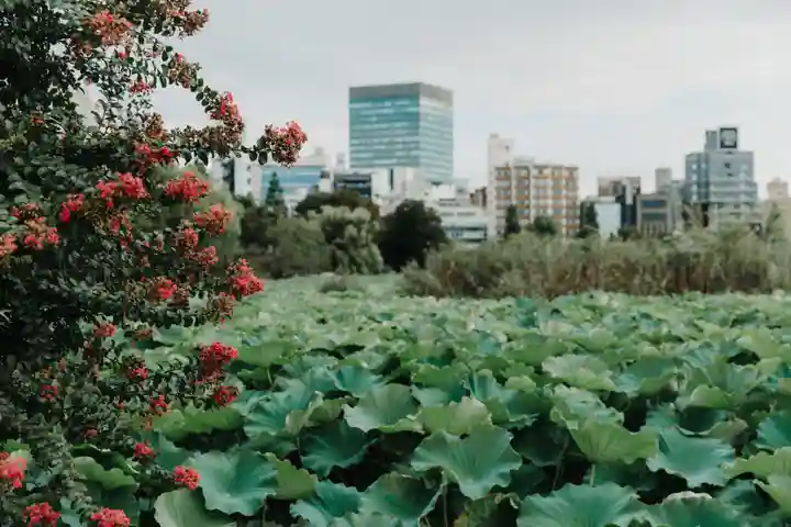 不忍池大黒天堂(東京都)