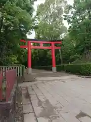 井草八幡宮の鳥居