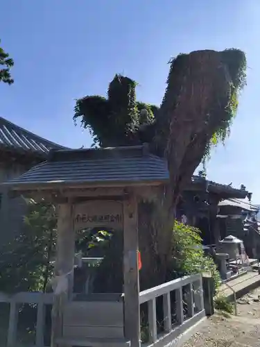 常楽寺(徳島県)