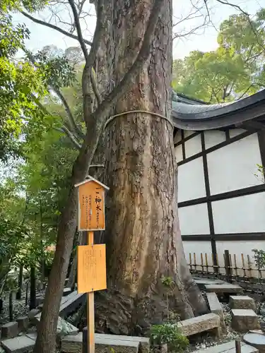 川越氷川神社(埼玉県)