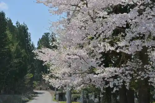 妙高寺(新潟県)