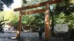 乃木神社の鳥居