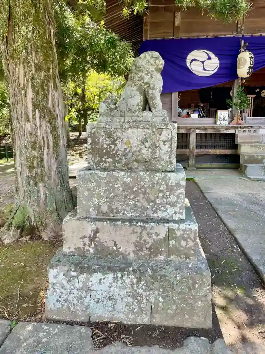 館山神社(千葉県)