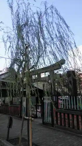 柳森神社の鳥居
