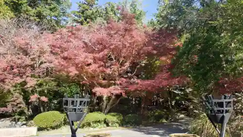覚園寺(神奈川県)