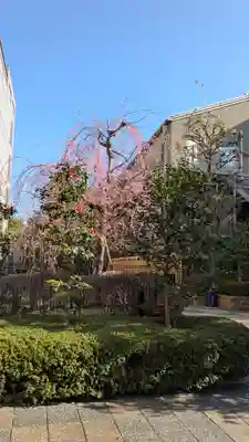 天照神社(京都府)