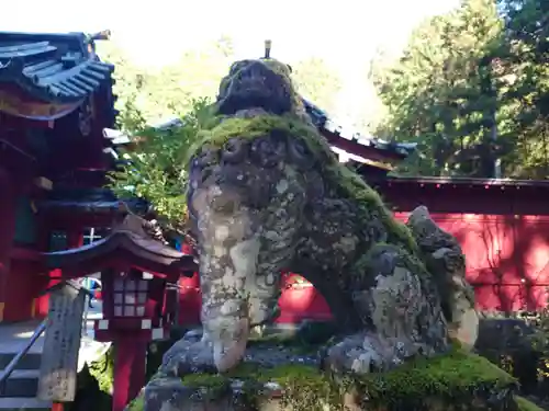 箱根神社の狛犬