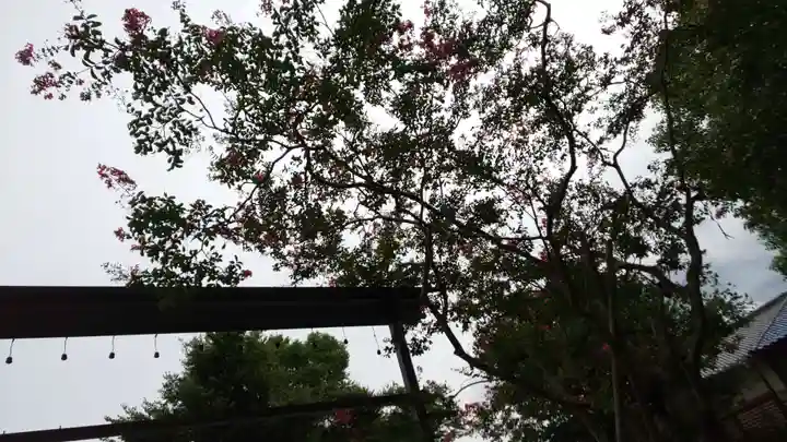 田中神社(京都府)