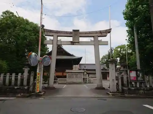 大井神社の鳥居