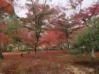 鹿苑寺(金閣寺)の自然