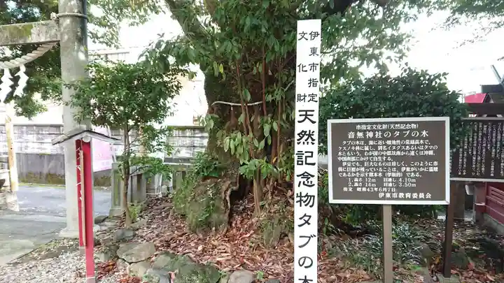 音無神社の自然