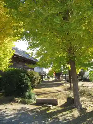 八幡神社(千葉県)