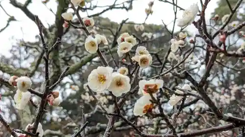 長岡天満宮(京都府)