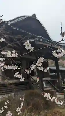 十輪寺(京都府)