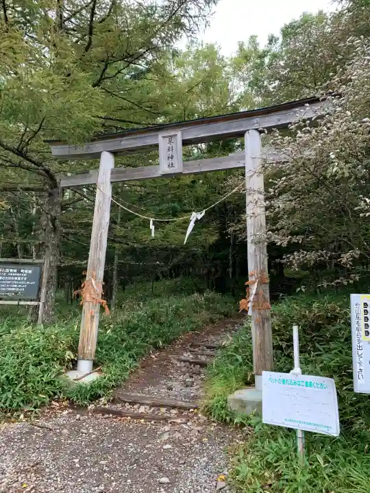 蓼科神社奥社の{uncategorized: "未分類", other: "その他", undefined: "問題あり", building: "その他建物", grave: "お墓", sacred_gate: "鳥居", guardian: "狛犬", statue: "像", buddha: "仏像", history: "歴史", nature: "自然", garden: "庭園", animal: "動物", pagoda: "塔", temizu: "手水舎", mountain_gate: "山門・神門", sanctuary: "本殿・本堂", subordinate: "末社・摂社", art: "芸術", scenery: "景色", jizo: "地蔵", ema: "絵馬", goshuin: "御朱印", omikuji: "おみくじ", items: "授与品その他", amulet: "お守り", goshuincho: "御朱印帳", eats: "食事", festival: "お祭り", votive_dance: "神楽", shichigosan: "七五三参", wedding: "結婚式", experience: "体験その他", initially: "初詣", around: "周辺", anti_infection: "感染症対策"}
