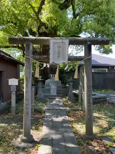 大麻比古神社(徳島県)