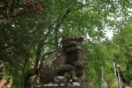 豊景神社の狛犬