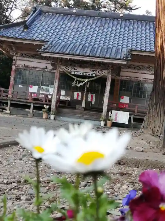 千代ケ岡八幡宮の本殿・本堂