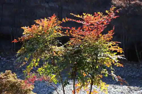 隠津島神社の庭園