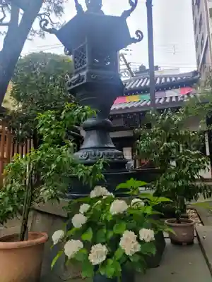 平等寺（因幡堂）(京都府)