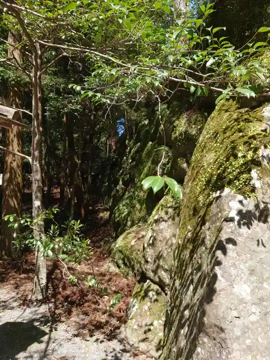 伊勢神宮内宮(皇大神宮)の自然