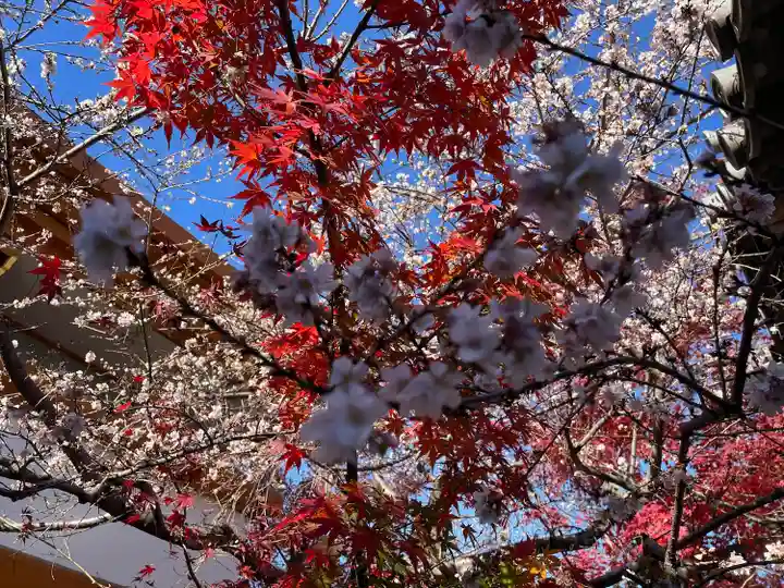 稱名院(東京都)